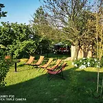 Csillaghegyi Oazis Hytte Siófok