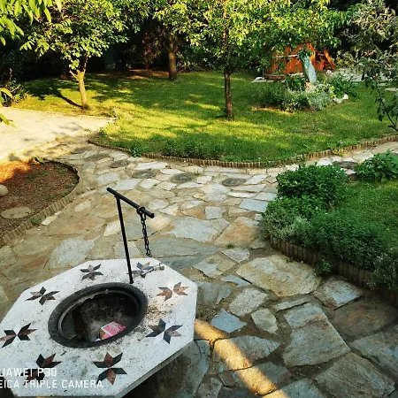 Csillaghegyi Oazis Lodge *