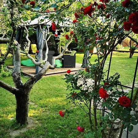 Csillaghegyi Oazis Lodge