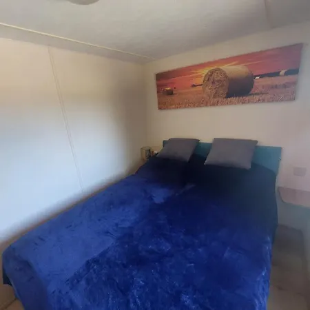 Csillaghegyi Oazis Lodge *