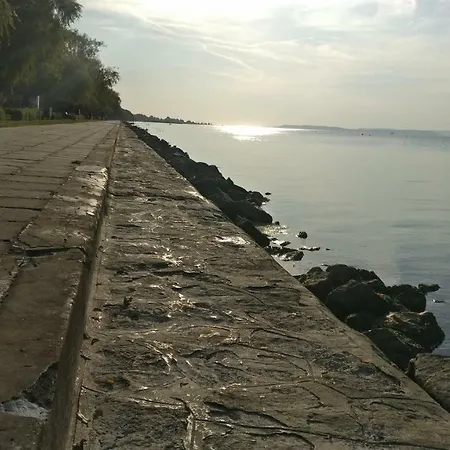 Csillaghegyi Oazis Lodge