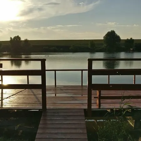Csillaghegyi Oazis *