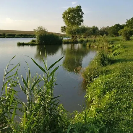 Csillaghegyi Oazis Lodge *