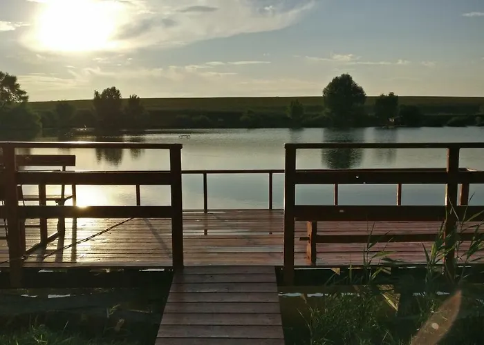 Csillaghegyi Oázis *